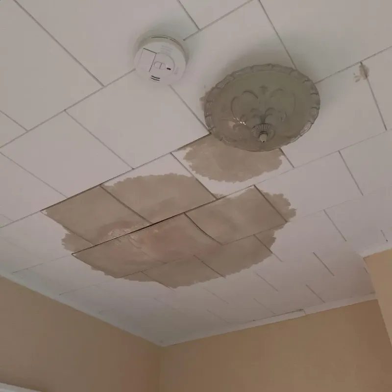 Ceiling Water Damage Repair in La Alianza, PR