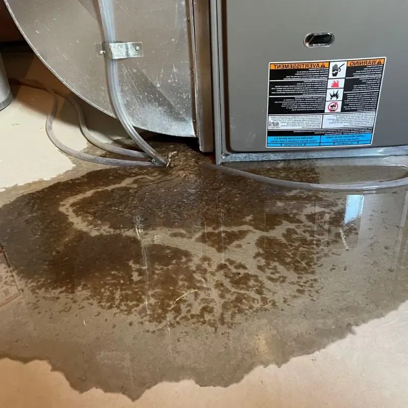 Pipe Burst and Leak Restoration in La Alianza, PR