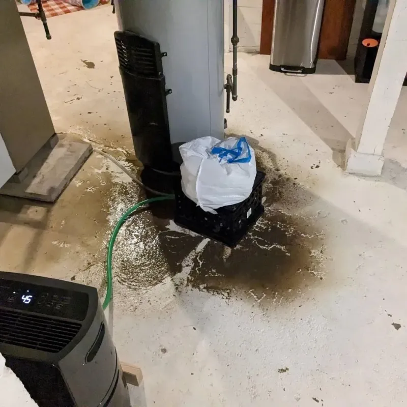 Sewage Backup Cleanup Service in La Alianza, PR